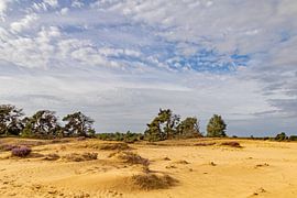 Galgenberg van wilbert ottenheijm