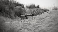 Zandduinen