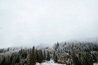 Natuurlijke winter - mist in de bergen met besneeuwde boomtoppen van sonja koning thumbnail