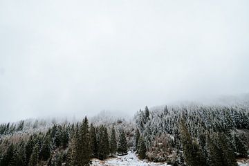 Natuurlijke winter - mist in de bergen met besneeuwde boomtoppen van sonja koning