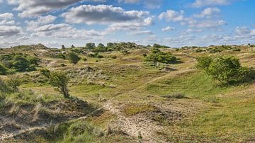 duin de kust van Nederland waterwingebied Waternet van eric van der eijk