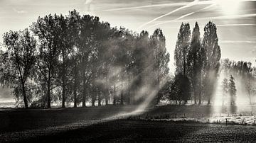 Lever de soleil dans la vallée de la Geul sur Rob Boon