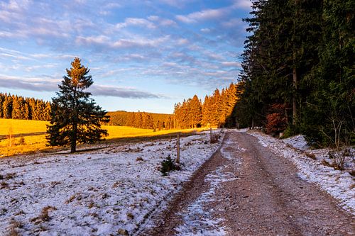 Korte wandeling bij zonsondergang naar de Ruppberg bij Zella-Mehlis - Thüringen - Duitsland