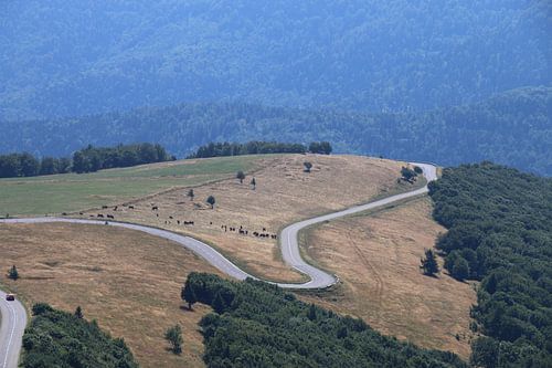 Weg over de heuvels