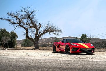 Chevrolet Corvette C8 sur Art Indi