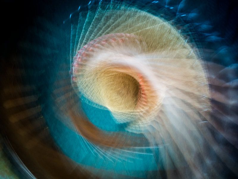 Vision circulaire # 22 par Claudio Allia