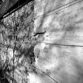 Cautious spring light. by JRobert Photography