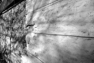 Cautious spring light. by JRobert Photography