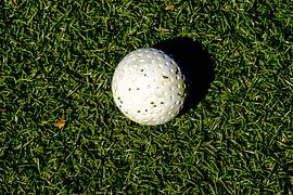 Hockey, de bal van Norbert Sülzner