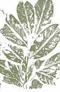 Groene bladeren in Japandi stijl. Moderne botanische kunst in pastel warm groen en wit. van Dina Dankers thumbnail