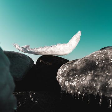 Frozen Baltic Sea coast in winter. Close-up shot.
