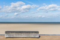 Beach Landscape