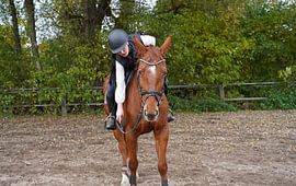Training with the bay Oldenburg mare on a riding arena