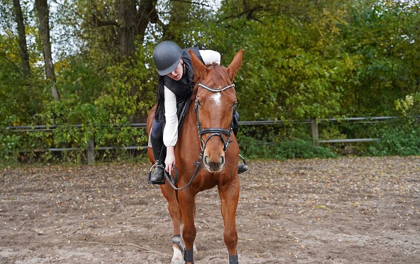Training with the bay Oldenburg mare on a riding arena by Babetts Bildergalerie