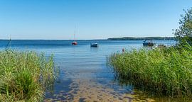 Lac de Lacanau in Frankreich von Achim Prill