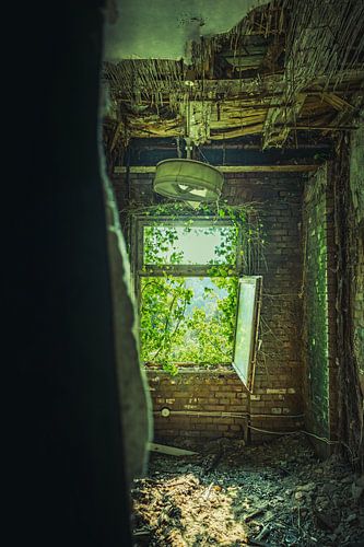 Dilapidated room with an open window - nature reclaims the lost place