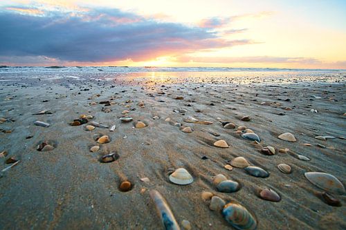 Op het strand van Blåvand bij zonsondergang aan zee