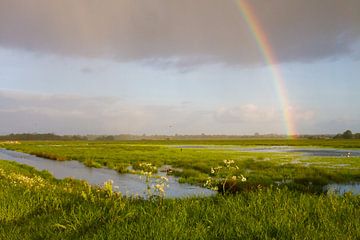 Regenbogen über dem Onnerpolder, Zuidlaardermeer. von Beschermingswerk voor aan uw muur