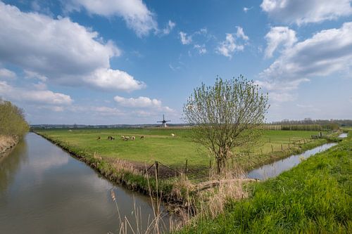 Hollands tafereel