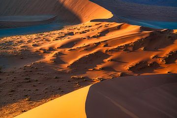 Het leven is een woestijn van veranderende zandduinen van Loris Photography