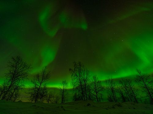 Le dernier jour, les lumières du nord