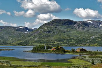 Die norwegischen Fjorde