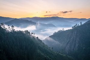 Landschaft, Uganda, Ostafrika