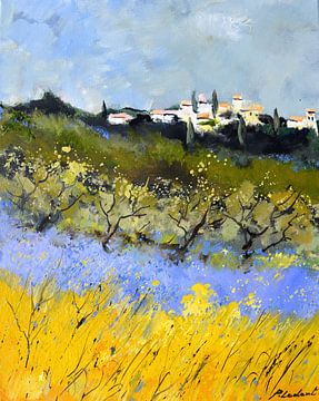Provençaalse lavendel van pol ledent
