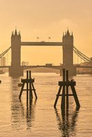 Tower Bridge Sonnenaufgang