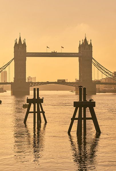Lever de soleil sur le Tower Bridge par David Bleeker