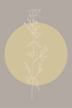 Japandi. Boho botanische bloem in goud en taupe nr. 2 van Dina Dankers