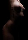 naked girl in the shadow von Christian Land Auftragsfotografie Miniaturansicht