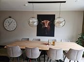 Klantfoto: Schotse Hooglander van Digitale Schilderijen
