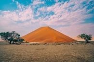 Sand dune in the Namib Desert by Namibia by Patrick Groß thumbnail