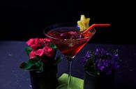 Rum trifft auf Zitrone Himbeere und Orange. Leckere und fruchtige Cocktails im Glas serviert von Babetts Bildergalerie Miniaturansicht