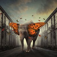 Butterphant