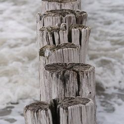 Landscape photography