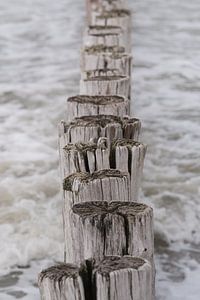Wellenbrecher im Meer (Cadzand, zeeland)