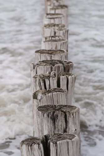 Brise-lames dans la mer (Cadzand, zeeland)