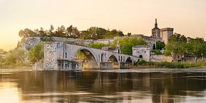 Avignon