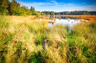 Hollands landschap van eric van der eijk thumbnail