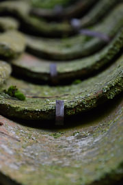 roof tiles by Erik Buitenhuis