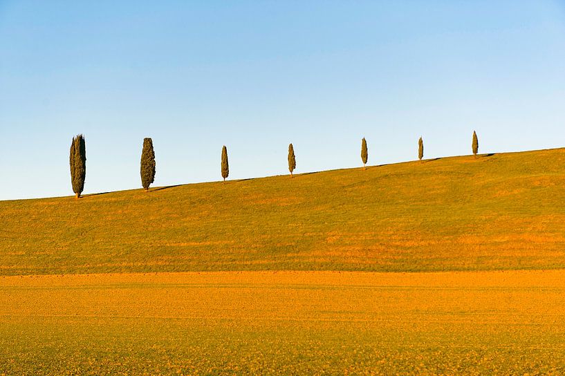 Landschap in het zuiden van de Gers, Frankrijk van Hilke Maunder