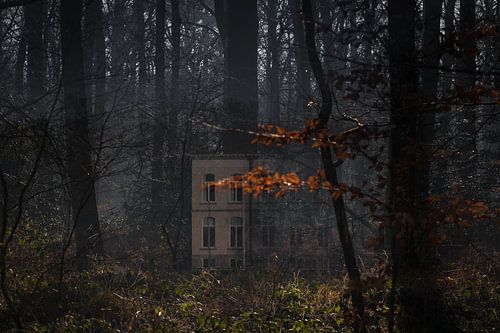 Wolfslaar restaurant in the forest, Breda, barony, North Brabant, Netherlands, Holland.