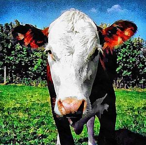 Porträt von Fudgie, der Hereford-Kreuzungskuh