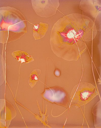 It pops van Monja van Deurzen