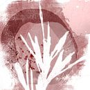 Modern botanical minimalist art. Abstract plant in dark pink and white by Dina Dankers thumbnail