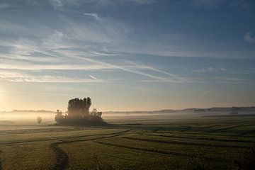 Landschaft im Nebel