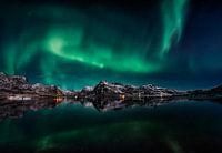 Lofoten Aurora Reflexion