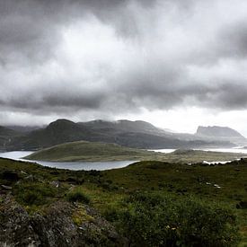 Calming nature Profile picture